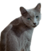 anastasiam408